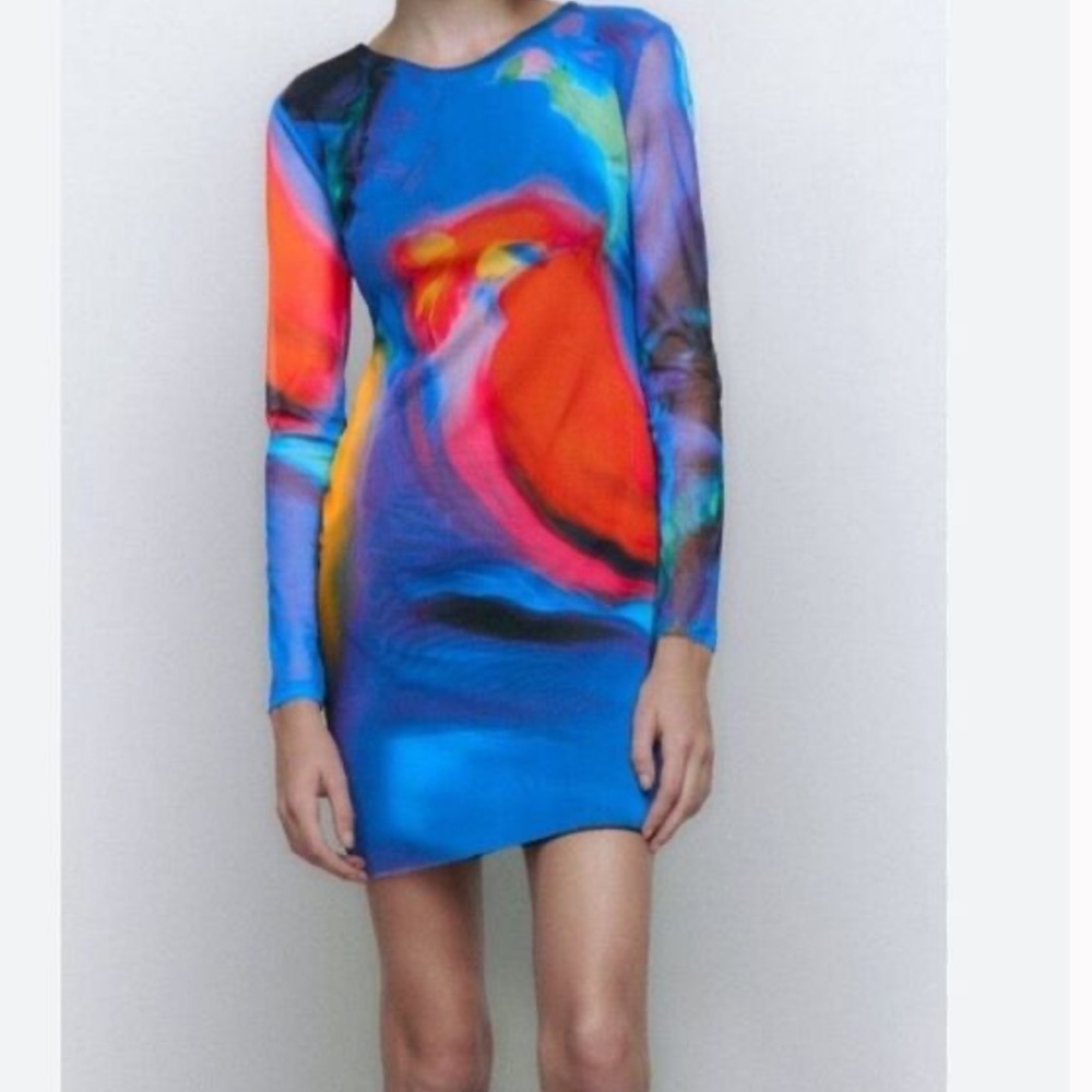 NWT! Zara Abstract Long Sleeve Mesh Dress (with lining)